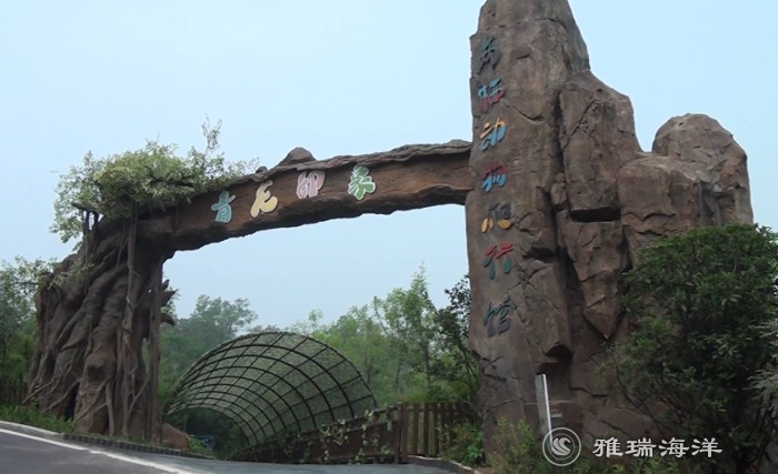 山東濟(jì)南青龍印象兩爬館